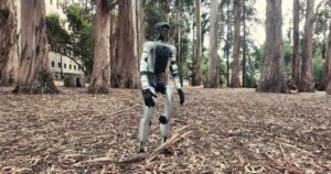 White Unitree G1 humanoid robot standing on a carpet of dry eucalyptus leaves among tall eucalyptus trees, from the SuperMimic project video