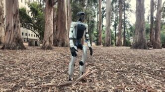 White Unitree G1 humanoid robot standing on a carpet of dry eucalyptus leaves among tall eucalyptus trees, from the SuperMimic project video